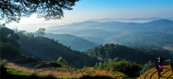 Coorg - Wayanad - Ooty - Munnar - Thekkady - Alleppey Tour Package