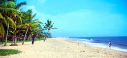 Hills - Nature - Backwaters - Beaches Tour Package