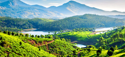 Ooty - Coonoor - Munnar Tour Package from Bangalore