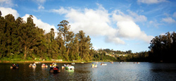 Bandipur - Ooty - Munnar Tour Package from Bangalore