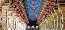 Munnar - Thekkady - Madurai - Rameshwaram - Kanyakumari Tour