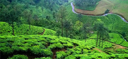 Kerala Beautiful Panorama Tour Package