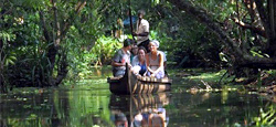 Munnar - Alleppey - Vaikom Holiday Package
